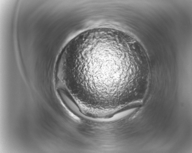 X0000066091525200603101153