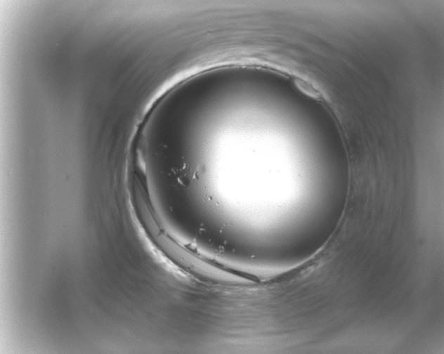 X0000066091526200603101153