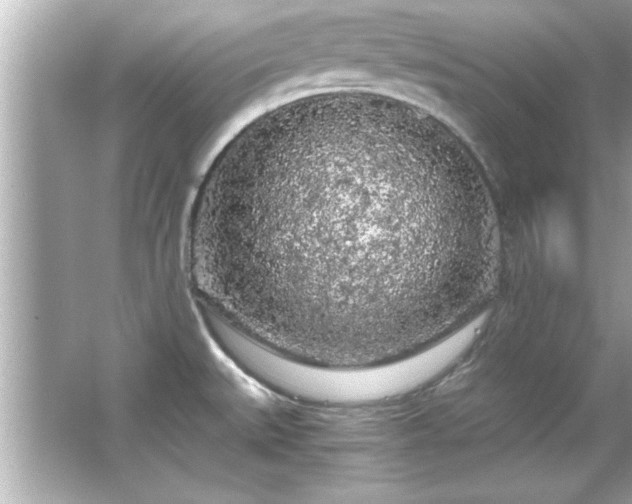 X0000066091527200603101153