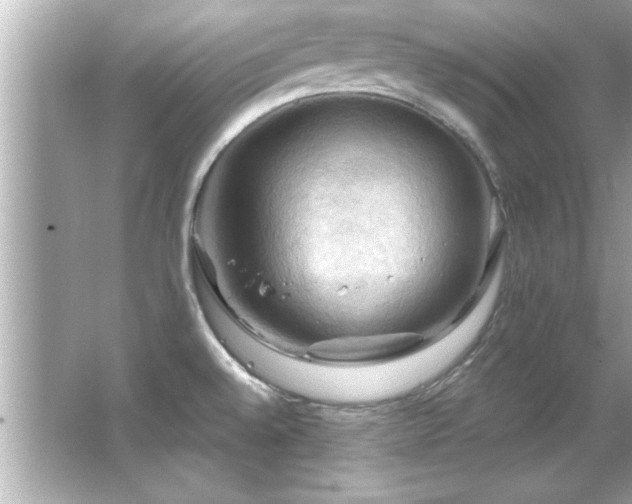 X0000066091528200603101153