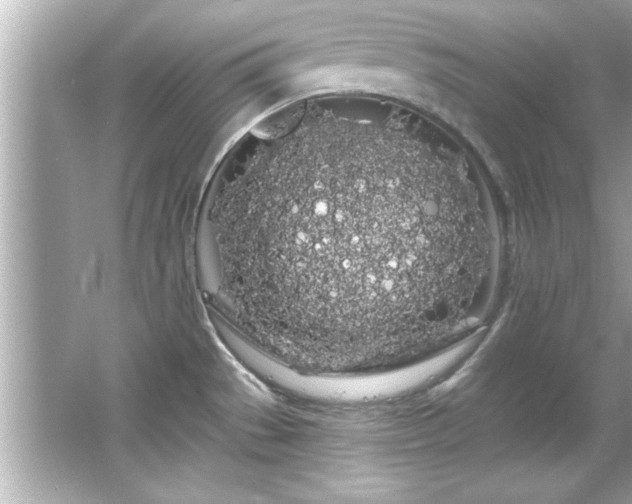 X0000066091529200603101153