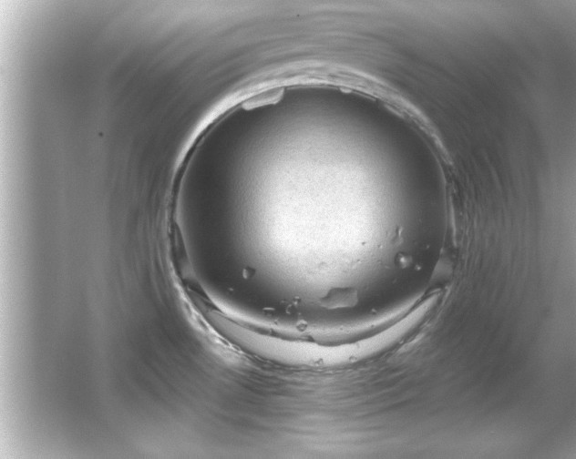 X0000066091530200603101153