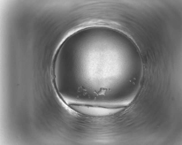 X0000066091531200603101153