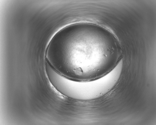 X0000066091532200603101153