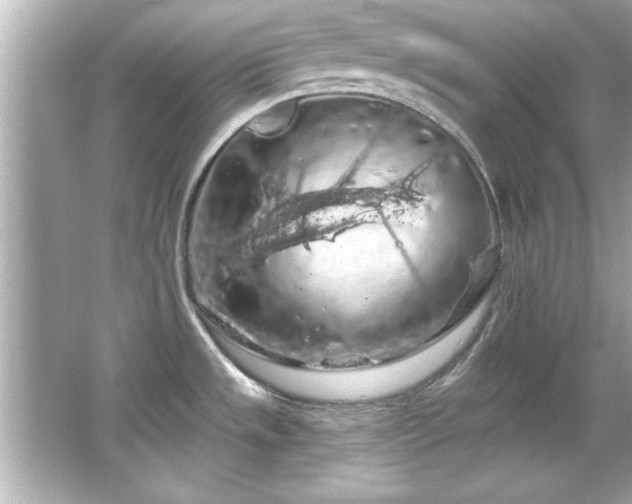 X0000066091533200603101153