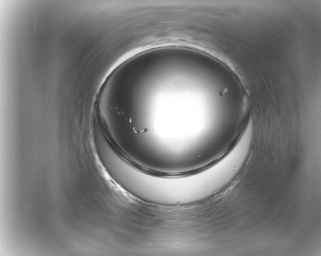 X0000066091534200603101153