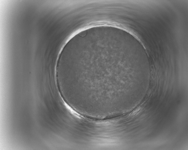 X0000066091535200603101153