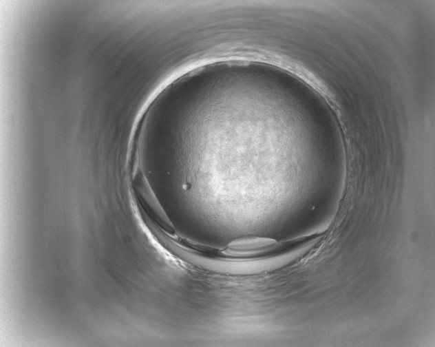 X0000066091536200603101153