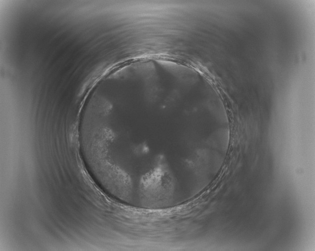 X0000066090002200603131216