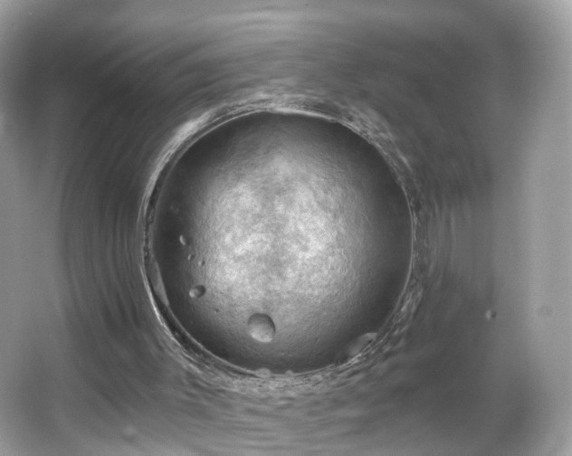 X0000066090003200603131216