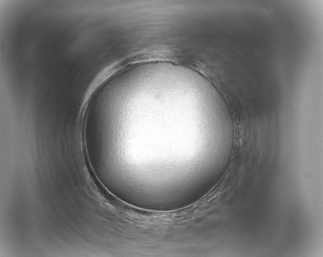 X0000066090004200603131216