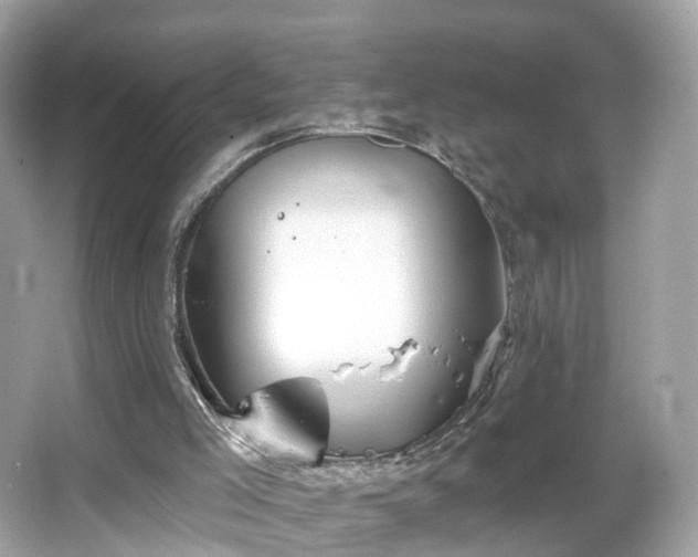 X0000066090005200603131216