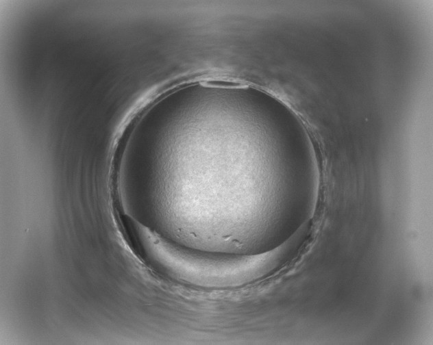 X0000066090007200603131216