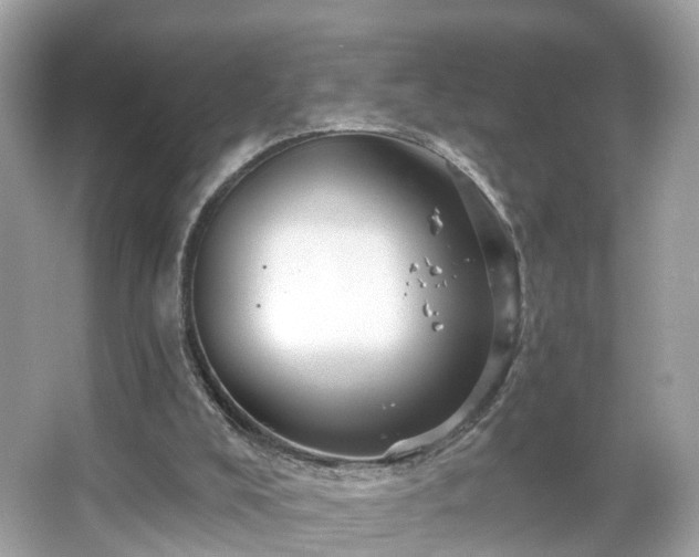 X0000066090008200603131216