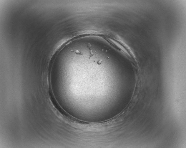 X0000066090011200603131216