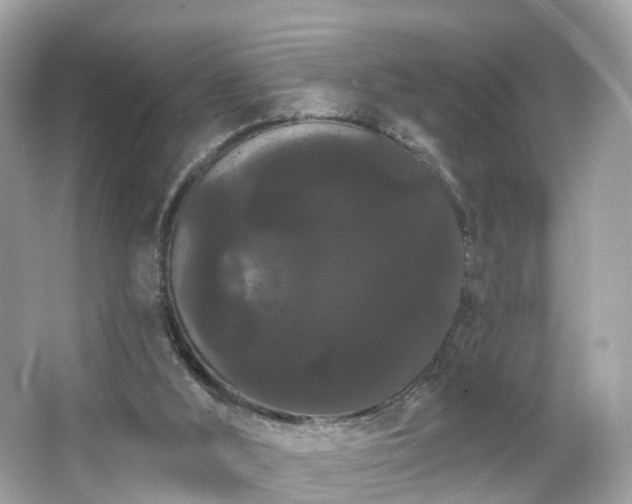 X0000066090012200603131216