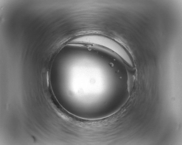 X0000066090013200603131216