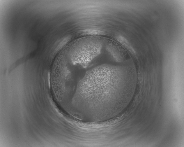 X0000066090014200603131216