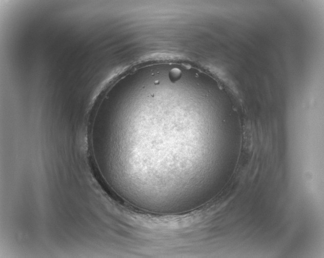 X0000066090015200603131216