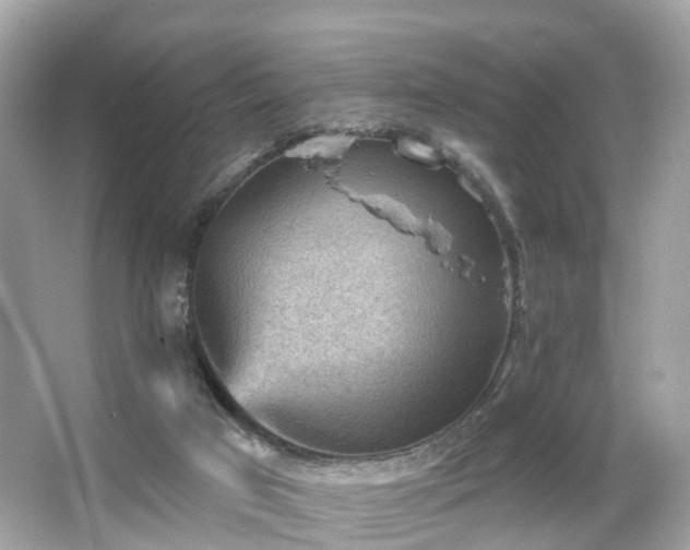 X0000066090017200603131216