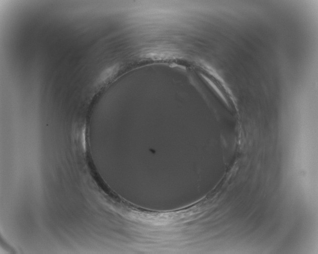 X0000066090019200603131215