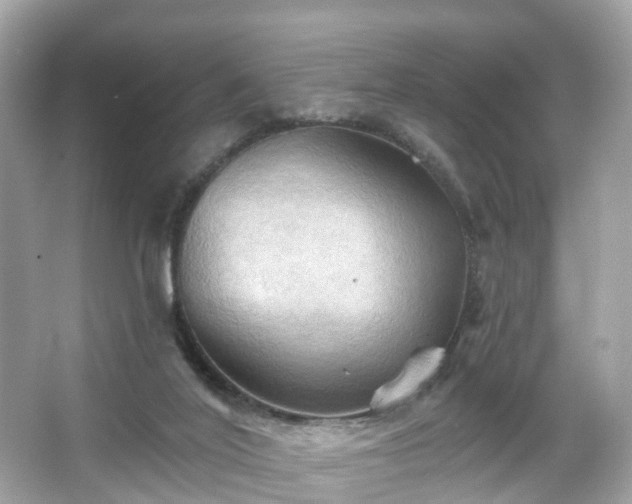 X0000066090020200603131215