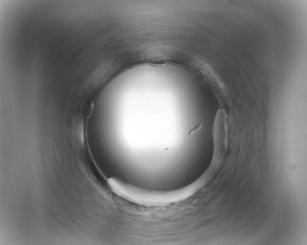 X0000066090021200603131215