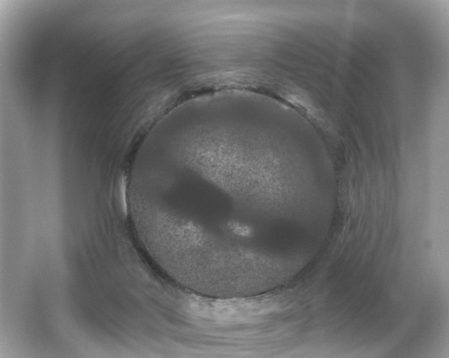 X0000066090022200603131215