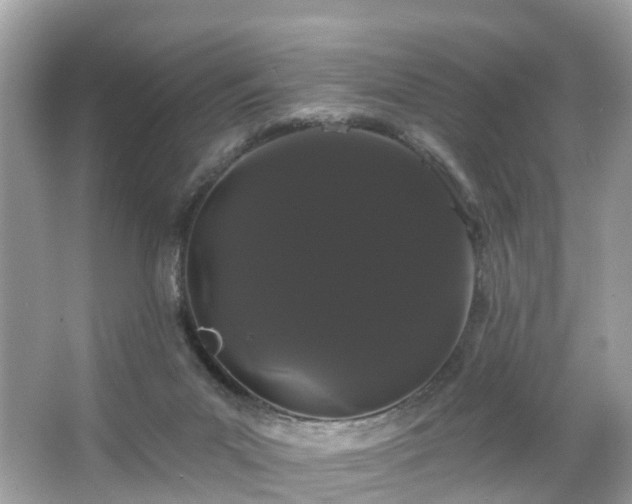 X0000066090023200603131215