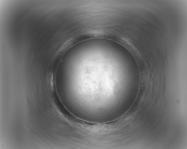 X0000066090024200603131215