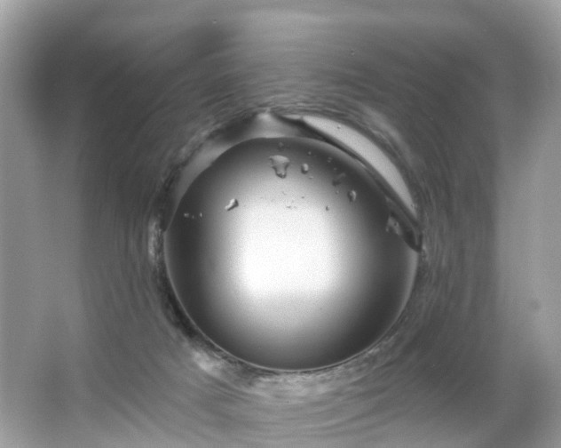 X0000066090025200603131215