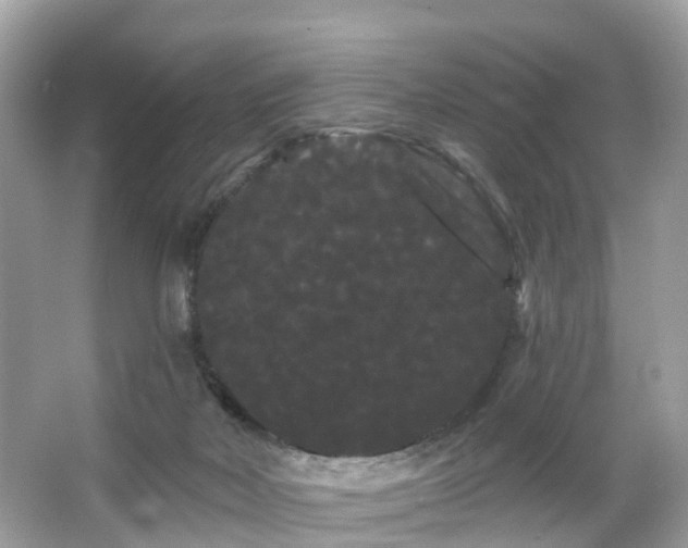 X0000066090026200603131215