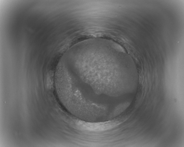 X0000066090030200603131215