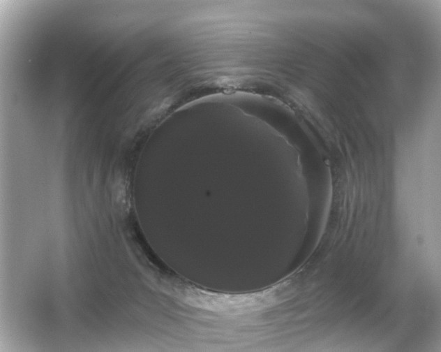 X0000066090031200603131215