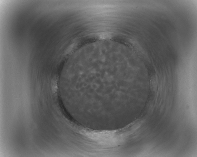 X0000066090032200603131215