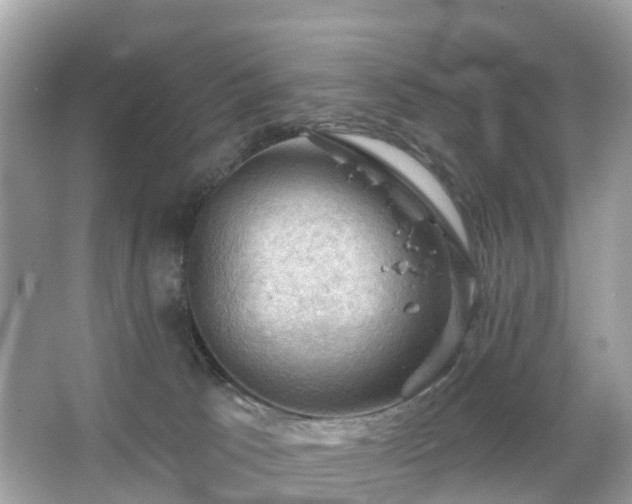 X0000066090033200603131215