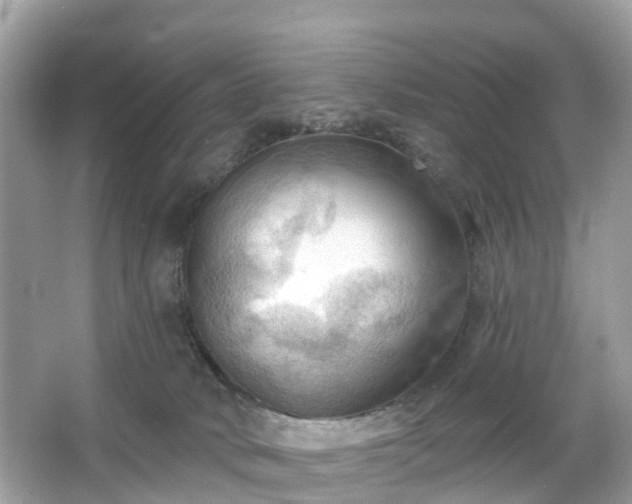 X0000066090034200603131215