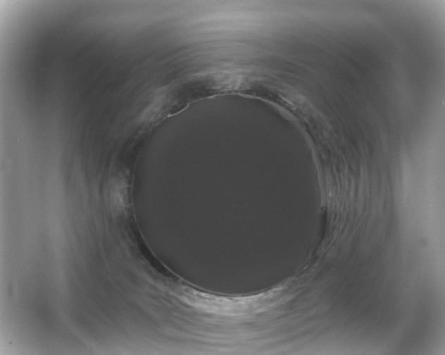 X0000066090035200603131215