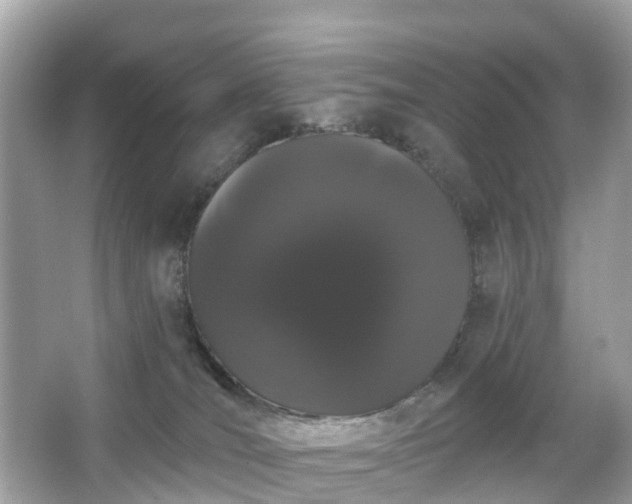 X0000066090036200603131215