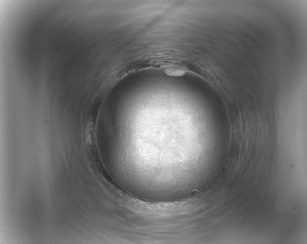 X0000066090038200603131215