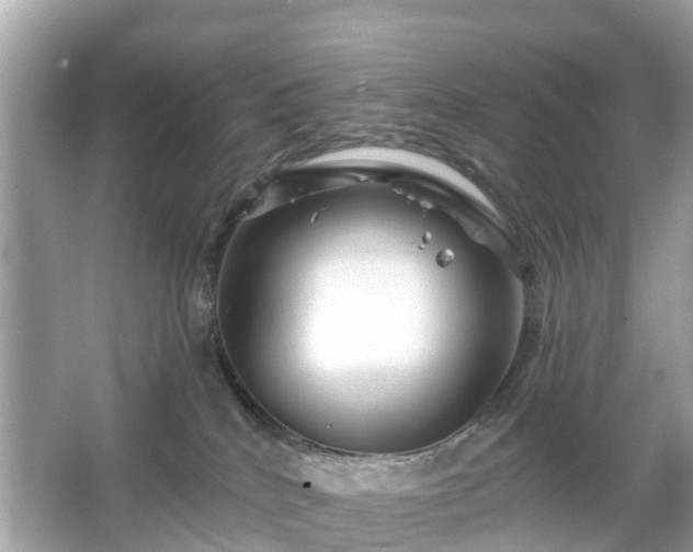 X0000066090040200603131215