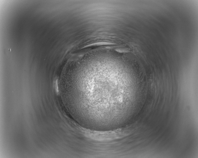 X0000066090042200603131215