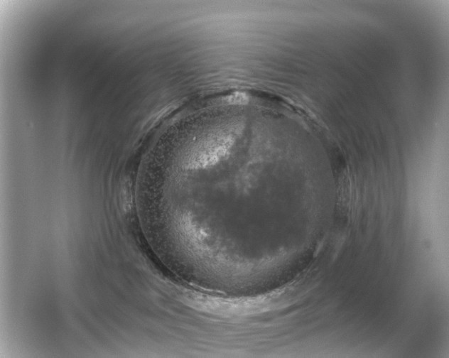 X0000066090043200603131215