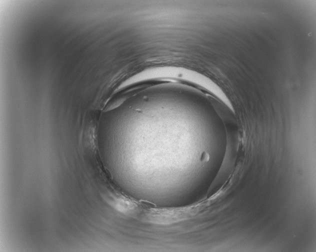 X0000066090045200603131215