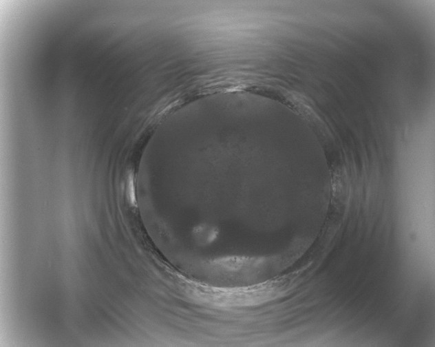 X0000066090046200603131215