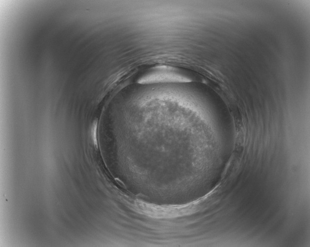 X0000066090047200603131215