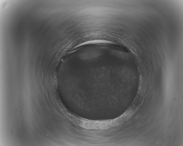 X0000066090048200603131215