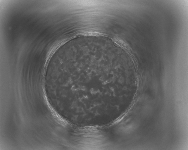 X0000066090049200603131214