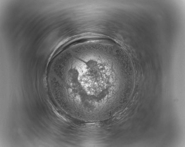 X0000066090050200603131214