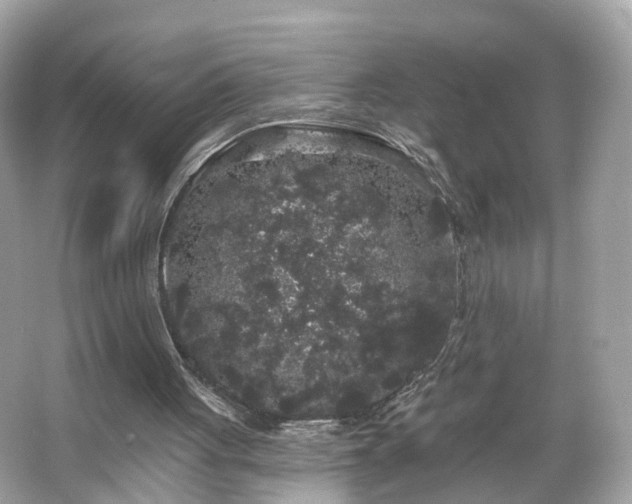 X0000066090051200603131214